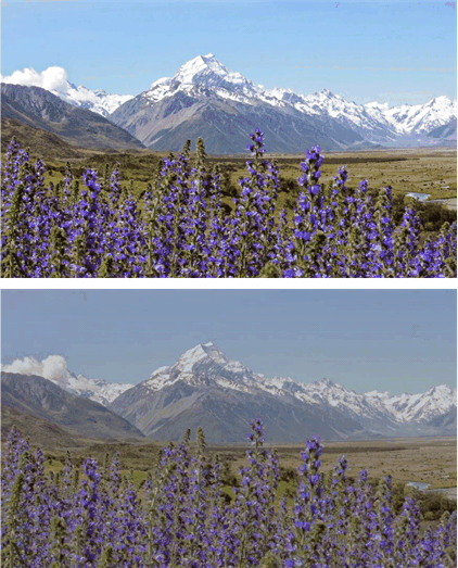 DLP2000, DLP2010, DLP230NP, DLP3010 高對比度投影圖像（上方）和低對比度投影圖像（下方）模擬