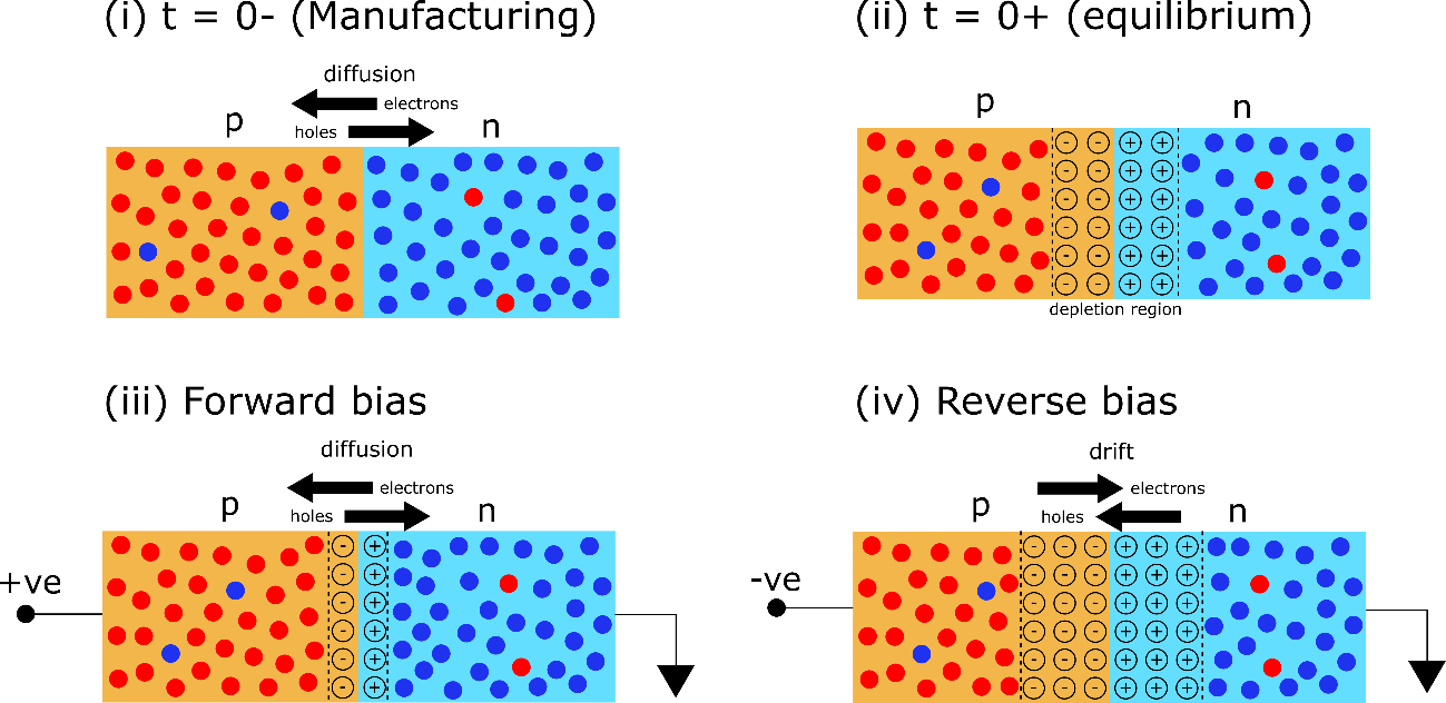  PN 結(jié)二極管在平衡狀態(tài)下以及正向或反向偏置運行狀態(tài)下的載流子動態(tài)特性
